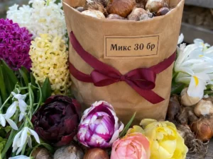 Микс пролетни луковици – 30 броя лалета, зюмбюли, кокичета и ириси за засаждане